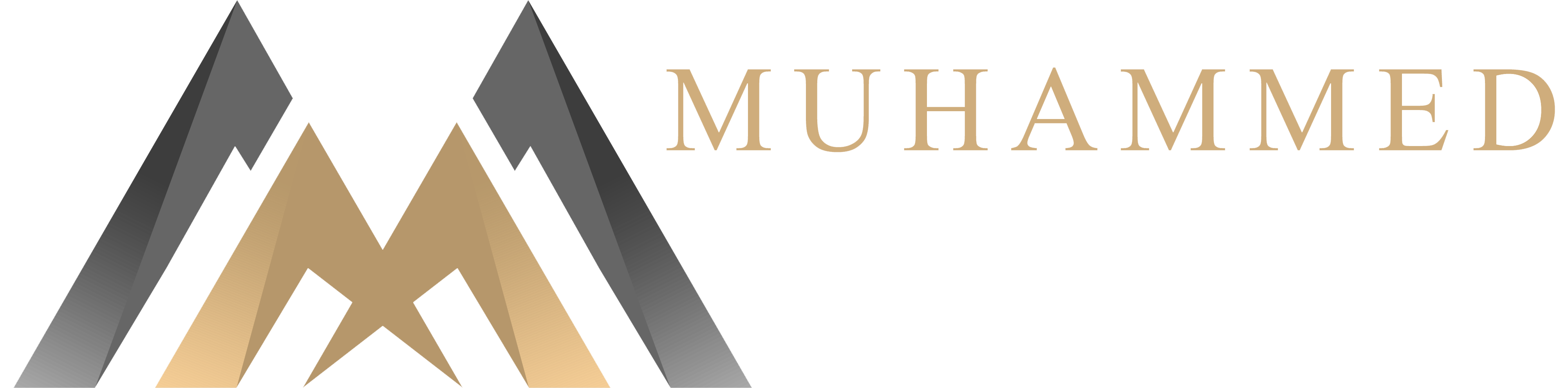 Official Muhammed Akay Website